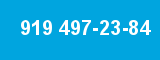 919 497-23-84